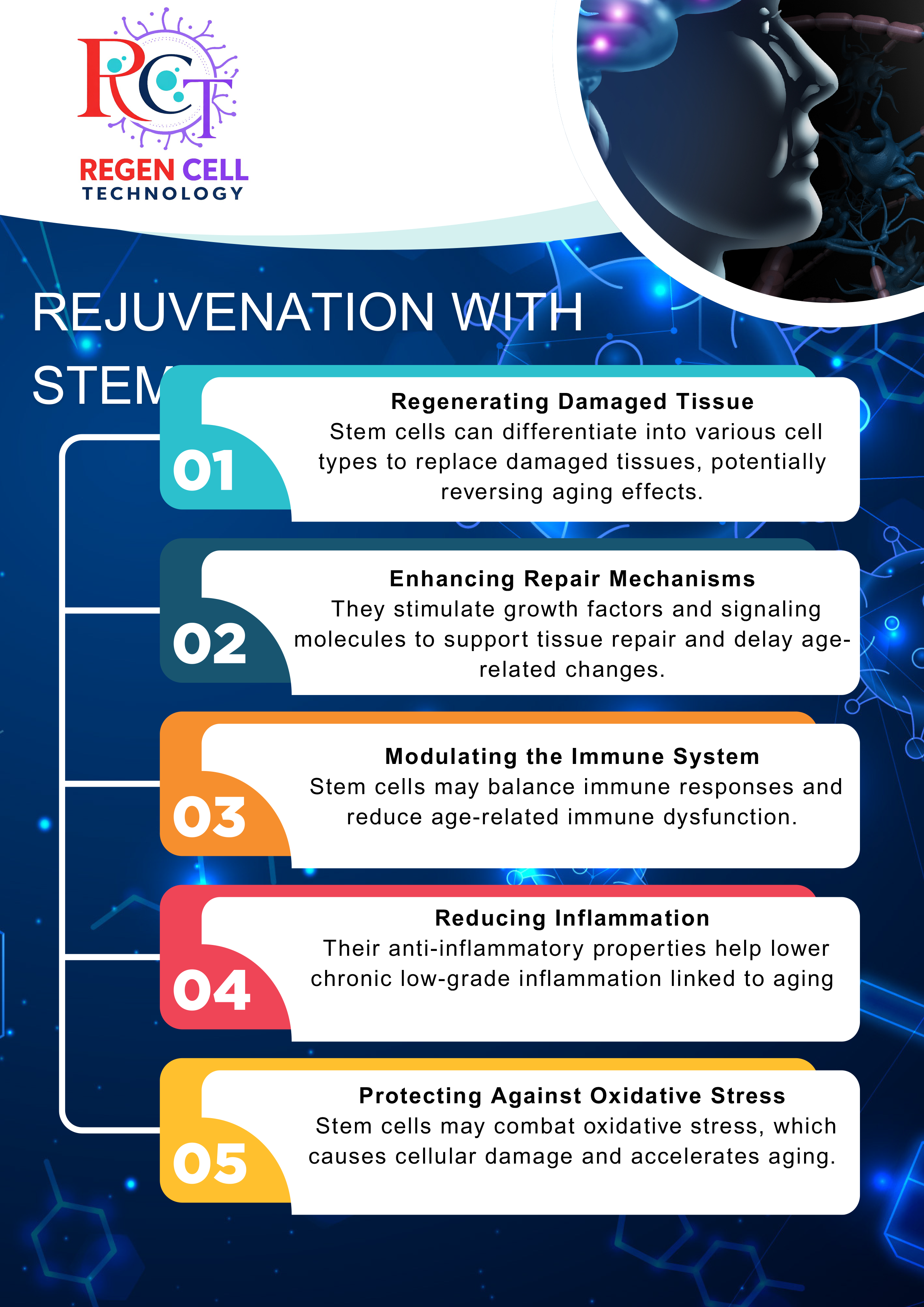 Flyer 5