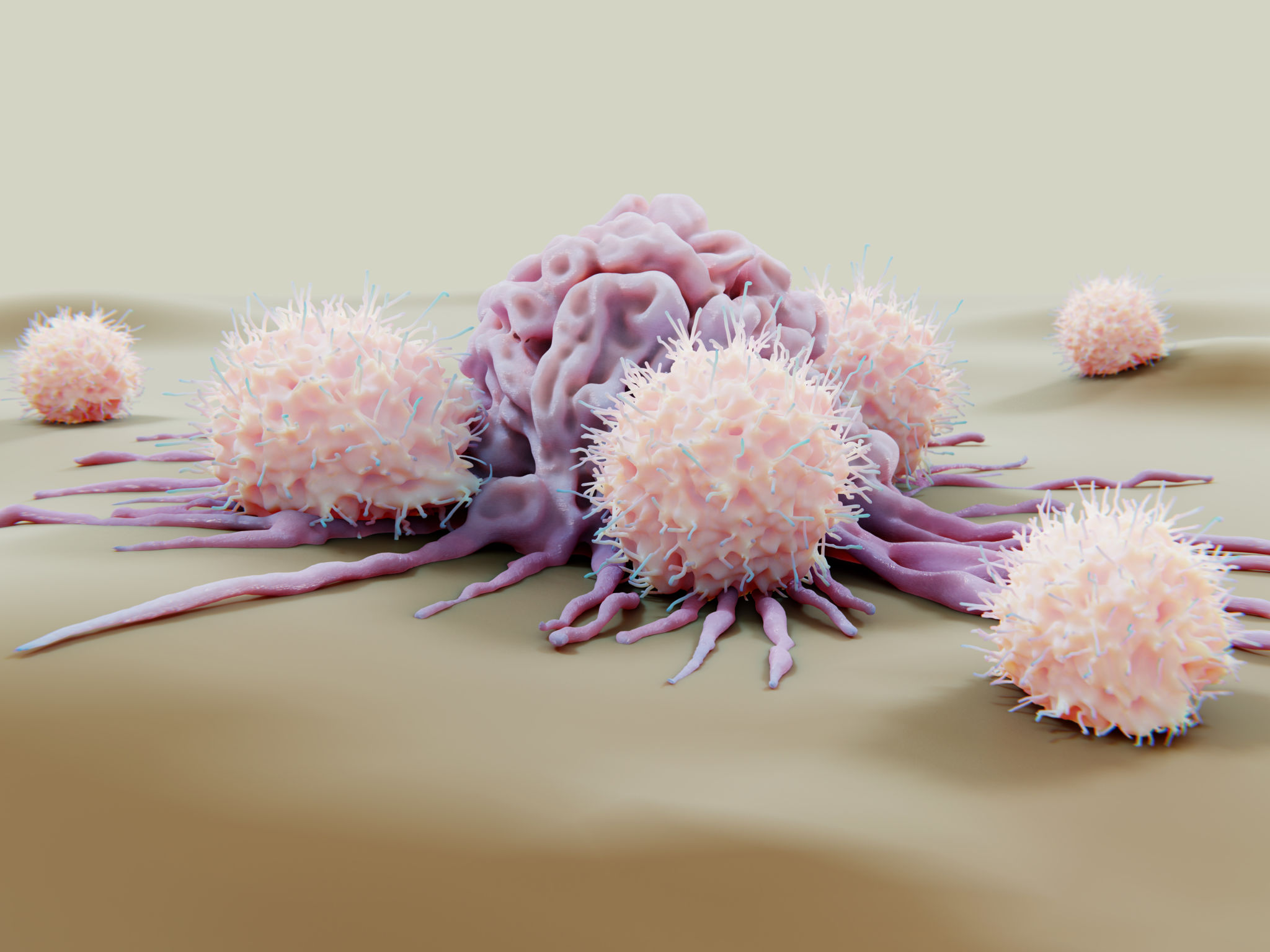 Natural Killer Cells